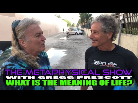 What Is The Meaning Of Life? - The Metaphysical Show with Gregg Prescott - #0002