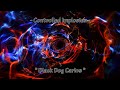 Controlled implosion  black dog carlos official music instrumental progressive rock metal