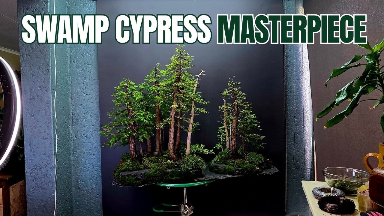 Insane Swamp Cypress Landscape (Looks So Real!)