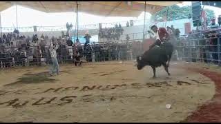 maldita envidia #selección CDMX los toros chilangos