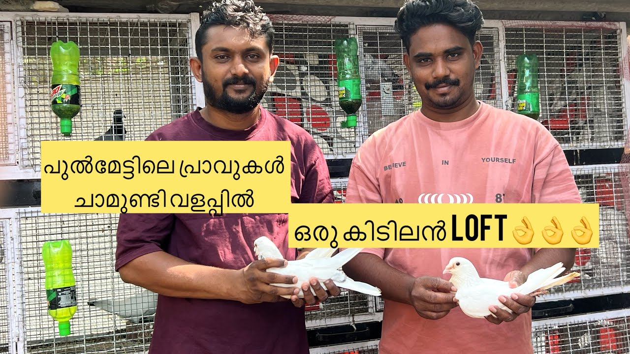 New Loft Visit/ Pulmettile paravagal chamundi walappil #kozhikode #parava #loft 