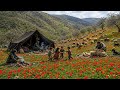 Authentic Life 🏞️in Afghanistan’s🇦🇫 Pristine Nature