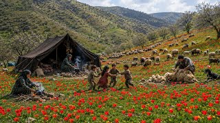Authentic Life 🏞️in Afghanistan’s🇦🇫 Pristine Nature