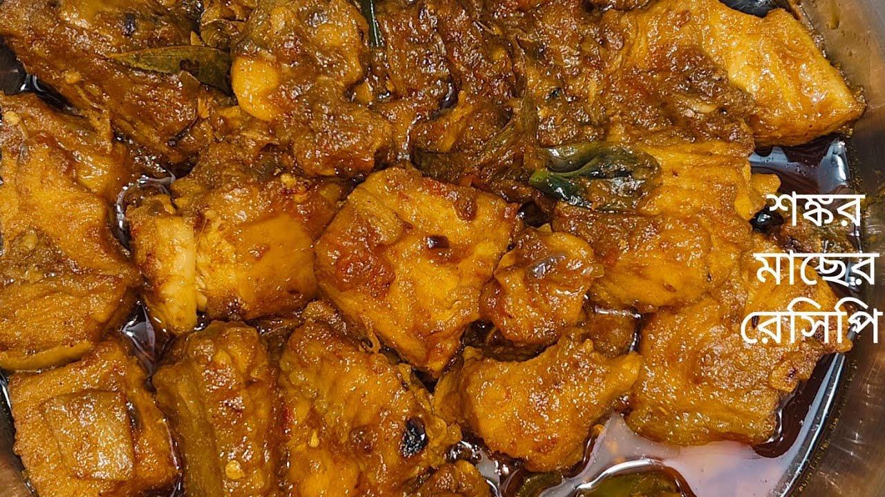 শঙ্কর মাছ এই ভাবে রান্না করলে গরম ভাতের সাথে ফাটাফাটি লাগবে /Sonkar Macher Jhal Recipe in Bangoli 