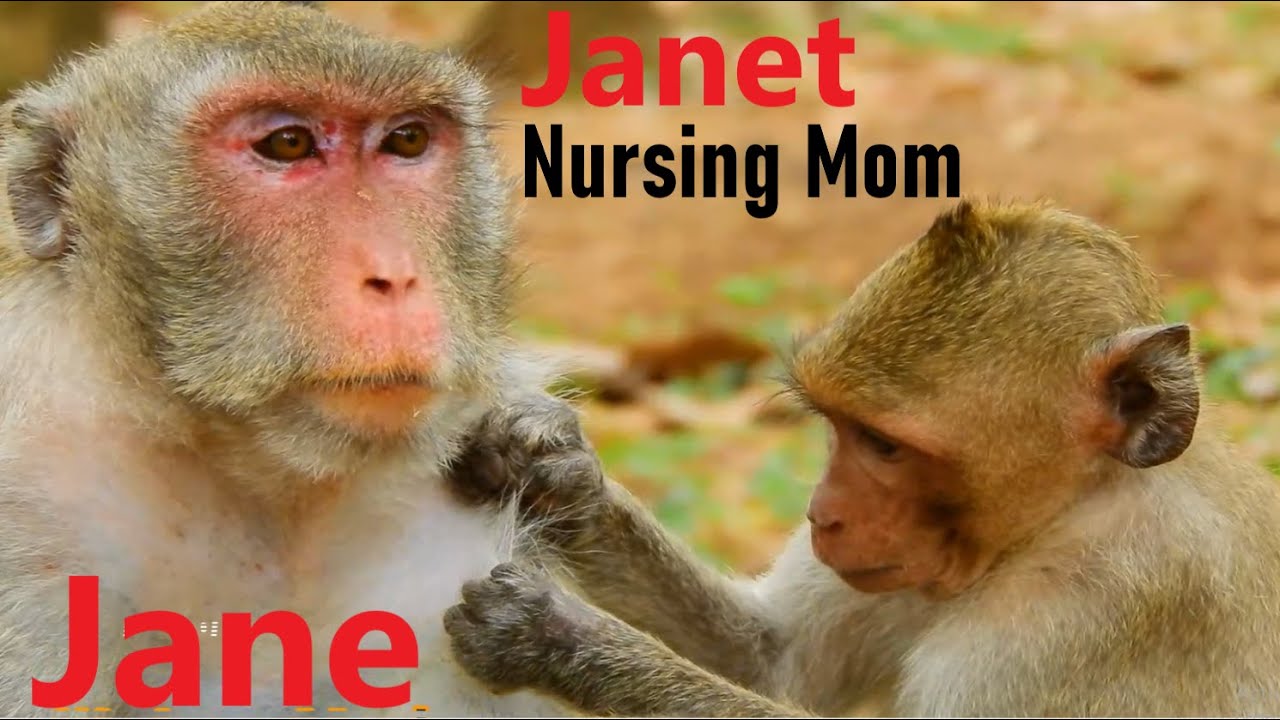 It's Great Janet Comes to Nurse Her Mom Jane And Her Sister Janna, Jane And Janna Nurse Janet Back