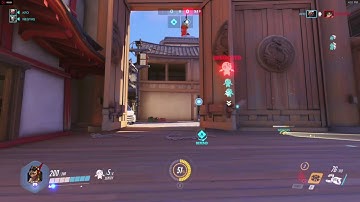 Overwatch bug no models