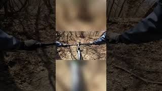 Pe poteca din pădurea de pini 🌲#MTBRide #MTB #Trail #BikeRide