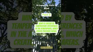 10 Amazing Facts of wind 2 #shorts