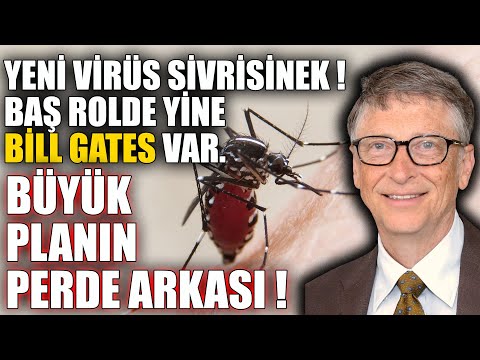 Yeni Virüs Sivrisinek Özel mi Üretildi ? BÜYÜK PLANIN PERDE ARKASI !