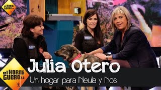 Un hogar para Neula y Nos  El Hormiguero 3.0