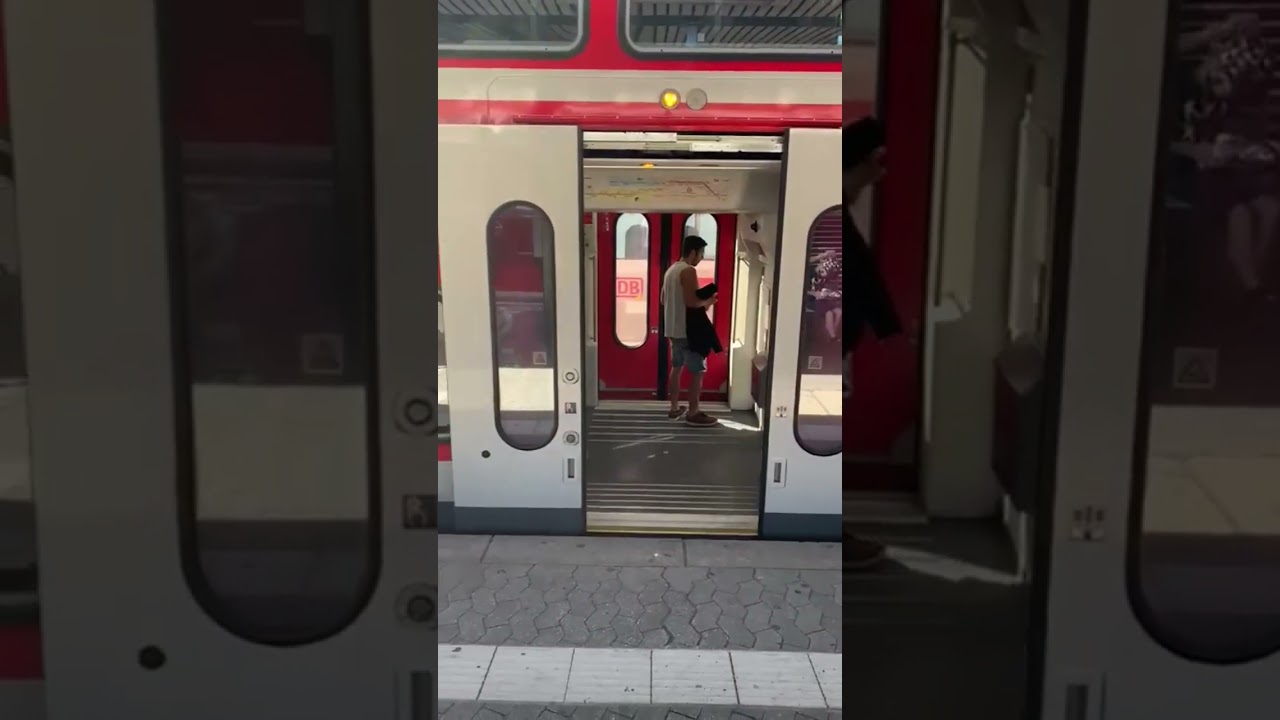 Twindexx Vario Tür Schließvorgang (BR 445)