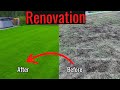 7 step spring lawn renovation 2024