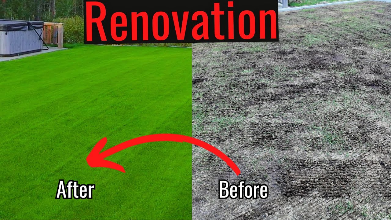 7 STEP spring lawn renovation 2024! - YouTube