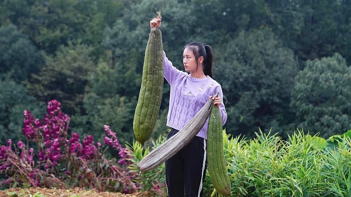 Turn GIANT Loofah into Luffa Sponges! - DayDayNews