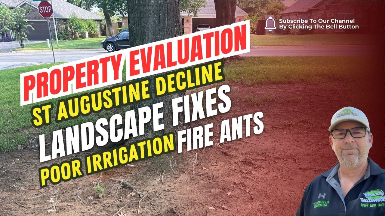 How to Fix St. Augustine Decline, Gray Leaf Spot, & Landscape Fixes to ...