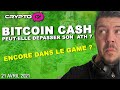  bitcoin cash bch  crypto monnaie encore dans le game  prdiction 