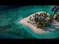 Night of Infinite Echoes | Tropical Paradise Escape | Ultimate Relaxation