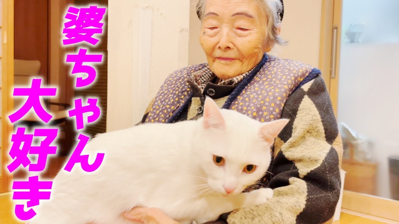 猫 と おばあちゃん
