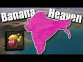 India is Banana Heaven! - Victoria 3 - (LIVE)