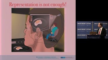How the Brain Thinks, Decides and Creates