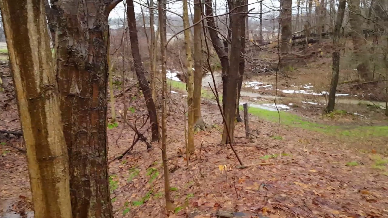 Flooding in Small Stream Cambridge Springs Pa