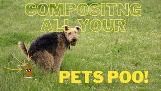 Composting your pet poo?