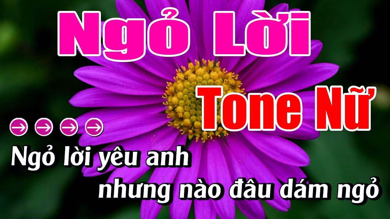 Ngỏ Lời Karaoke Tone Nữ Karaoke Lâm Beat - Beat Mớ