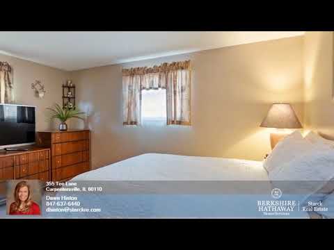 355 Tee Lane, Carpentersville, IL home video tour
