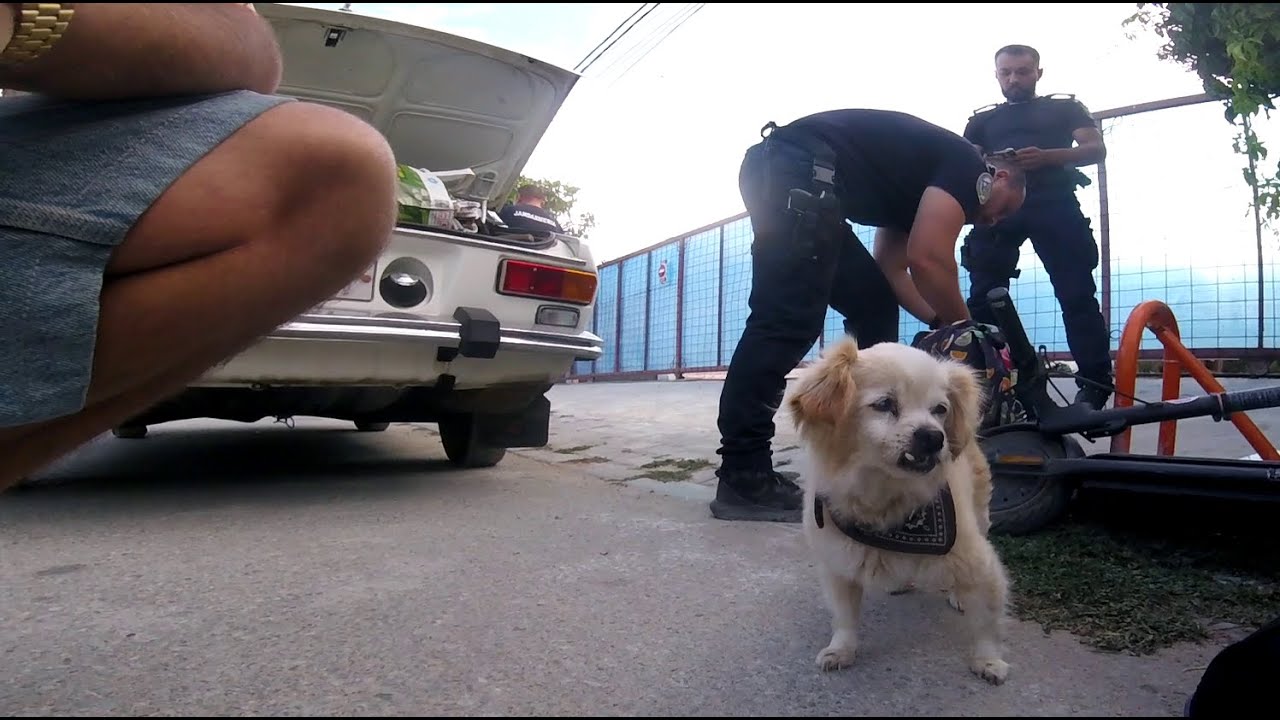 🚨NECAZ CU GARDA IN  VAMA VECHE ▄︻デ══━一💥👮(vacanta porno)