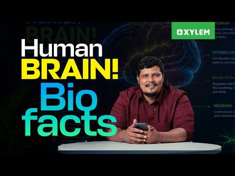 Human Brain - Bio Facts | Xylem Class 9
