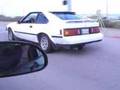 Supra on the seawall