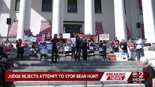 Judge denies advocates’ effort to halt Florida black bear hunt