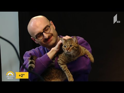 #ახალიდღე „ცნობილი ადამიანები საკუთარ ოთხფეხა მეგობრებთან ერთად“ - ახალი პროექტი