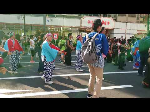 総おどり"正調よさこい"（2018銀座柳まつり）