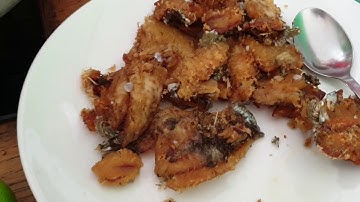 cách nấu bún cá rô đồng 0981352838