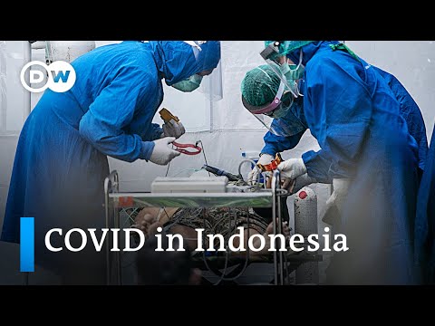 Video: Sergio Mayer Meminta Presiden Mexico Untuk Bertindak Terhadap Coronavirus