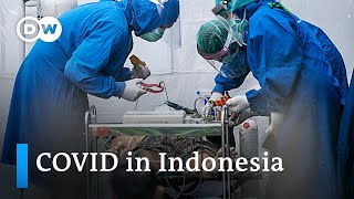 Delta variant leads to record high COVID cases and deaths in Indonesia | DW News