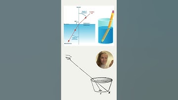 Unraveling the Mystery: Understanding Refraction and the Illusions of Water
