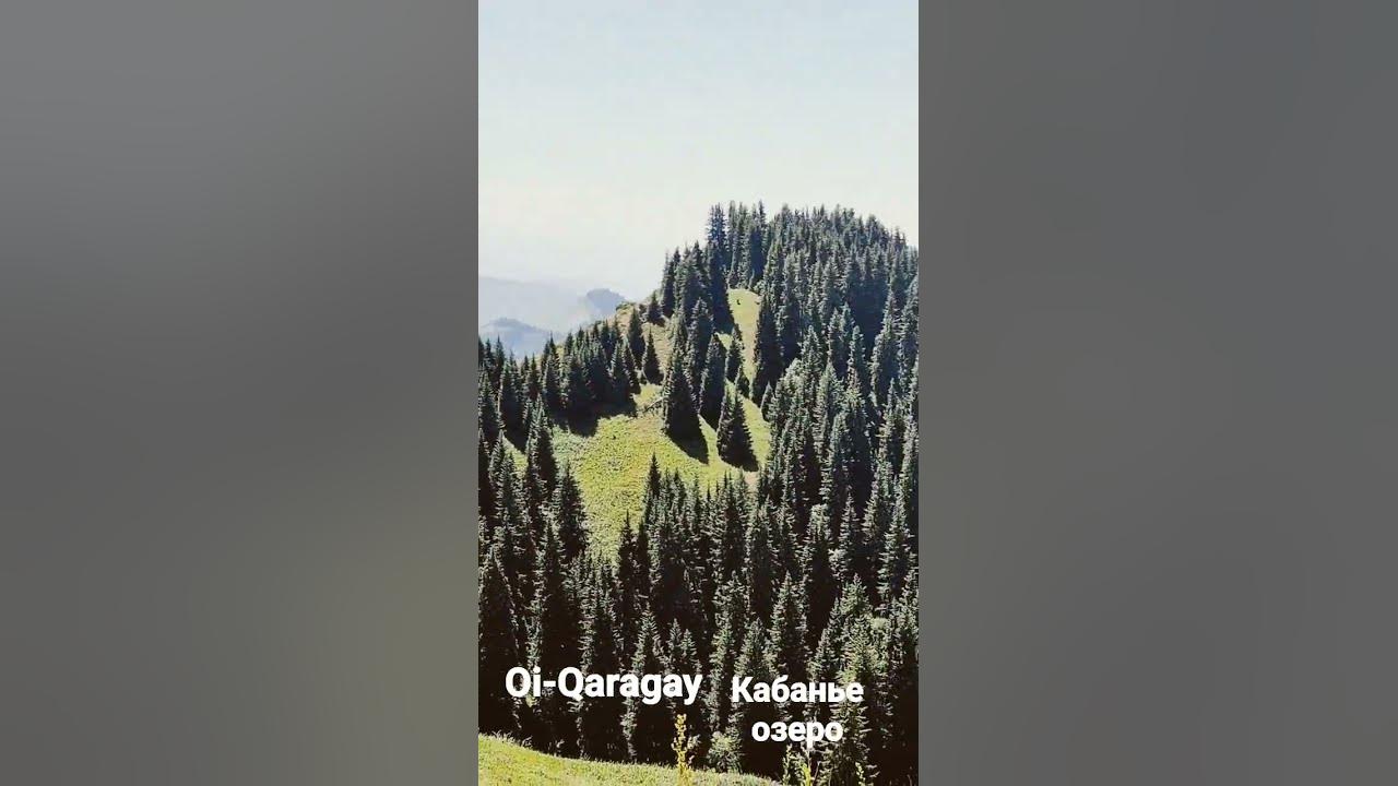 Ой-Карагай. Лесная сказка - YouTube
