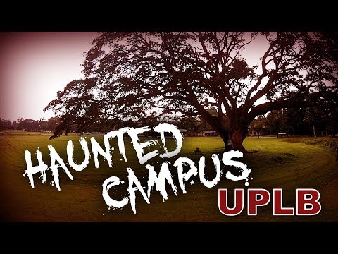 The Scariest Places in UP Los Baños (UPLB)