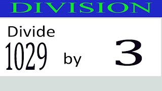 Divide     1029      by     3