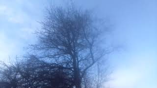 15770 Khz Wrmi Supreme Master Tv