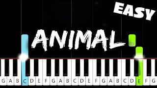 KATSEYE (캣츠아이) - Animal - EASY Piano Tutorial