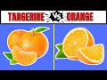 Tangerine vs Oranges | Key Differences and Similarities