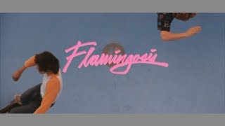 Video thumbnail of "Flamingosis - Return of The Love Jones (Official Video)"