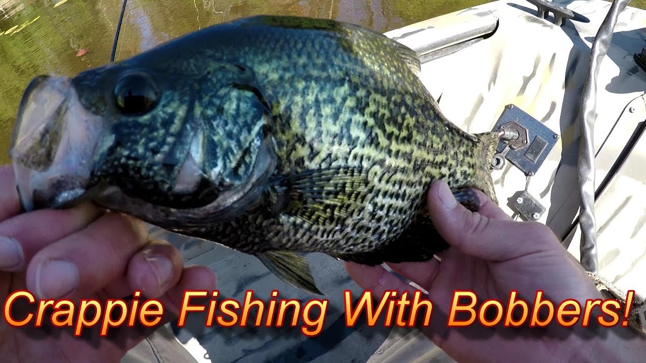 Crappie Fishing With A Jig (THESE Tips Will MAKE Crappie Bite!) 