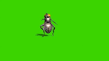 mosquito intro intro