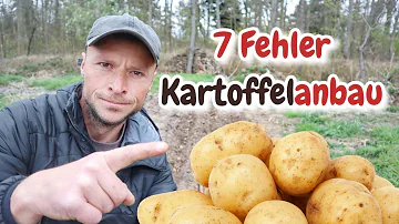 Wann Kartoffeln setzen Mond?