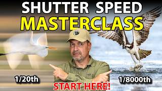 Shutter Speed Tricks for Better Wildlife Photos