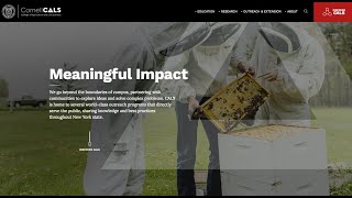 CALS Web Launch